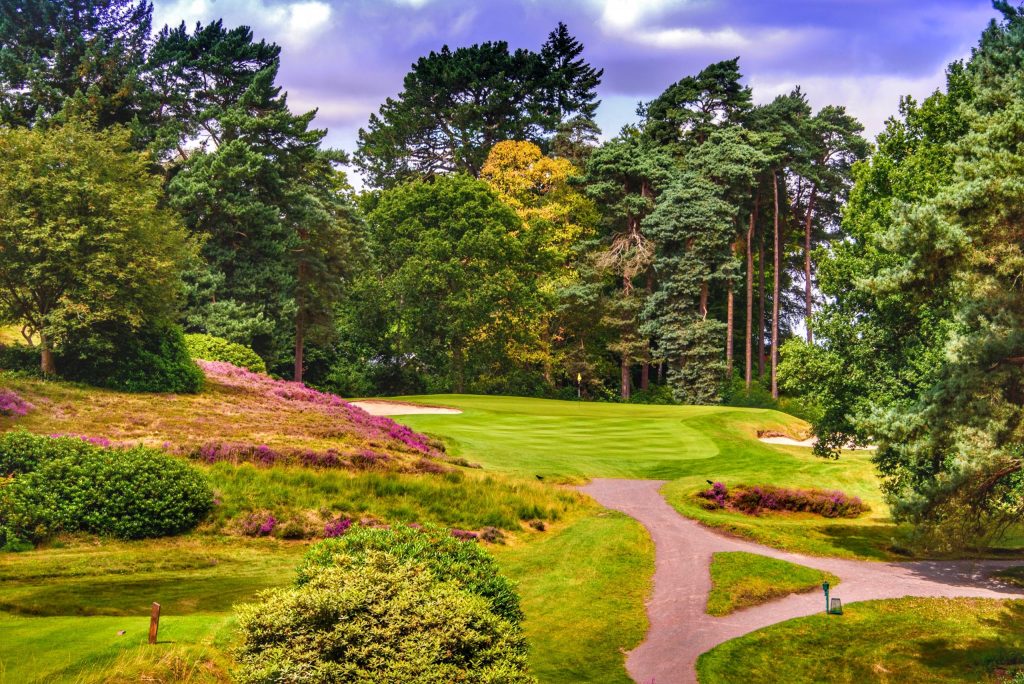 Sunningdale - Old