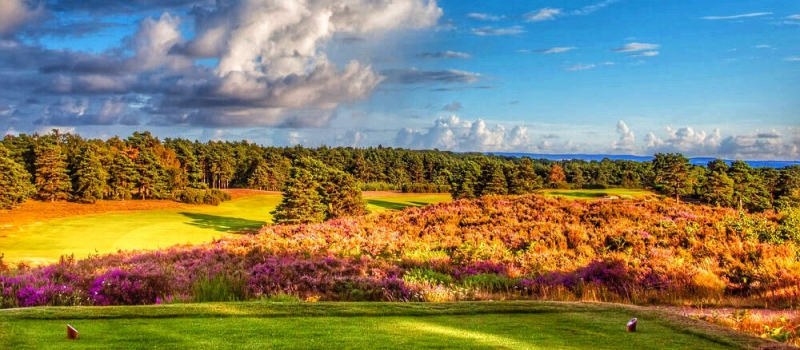 Sunningdale-New Sunningdale-New