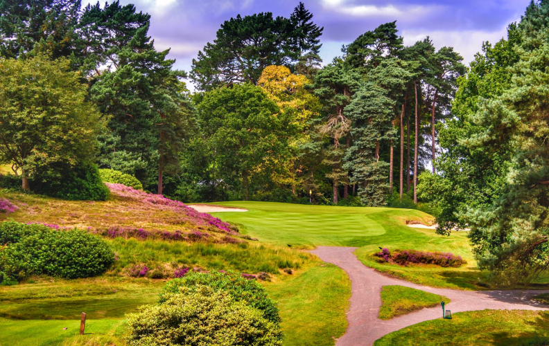 The Best of the British Isles Part 3 England's Heathlands Cloud 9