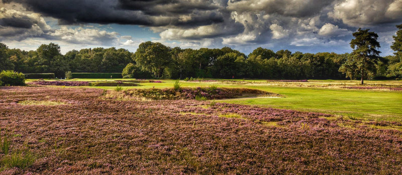 Walton Heath-Old Walton Heath-Old